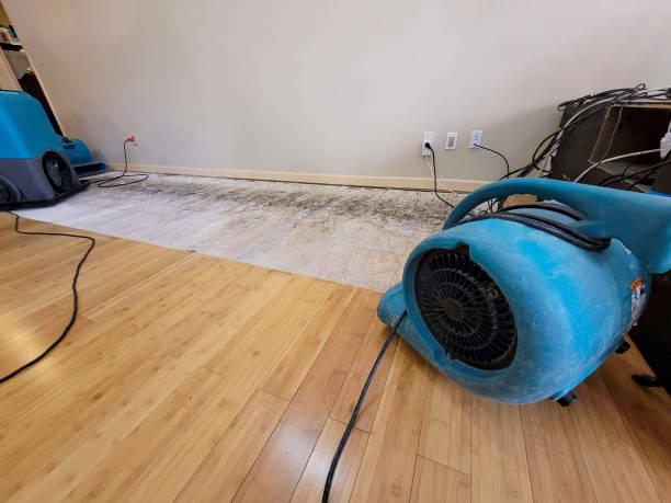 Professional Flood Damage Cleanup technician working in Sierra Vista, AZ